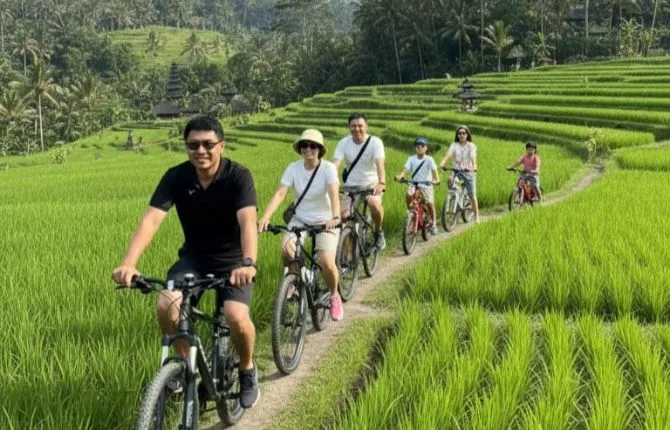 Cycling through rice fields in Ubud